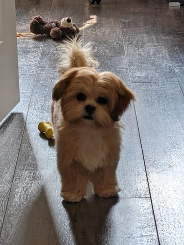 Untitled Untitled