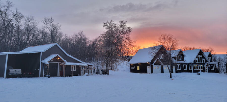 Springtime at Chickadee Valley Farm
